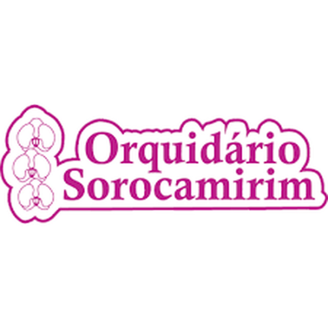 Cliente SENGO