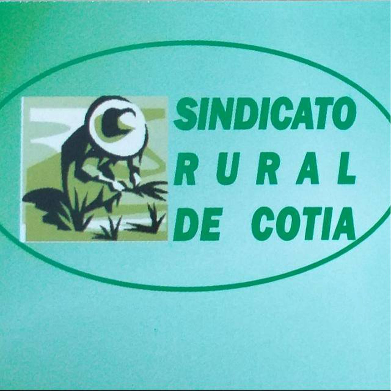 Cliente SENGO